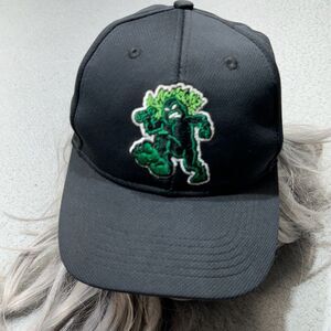 Eugene Emeralds Hat Cap Strap Back Boys Adjustable Black OC Youth‎ MiLB Baseball
